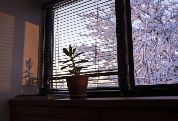 Change Your Blinds For Wintertime
